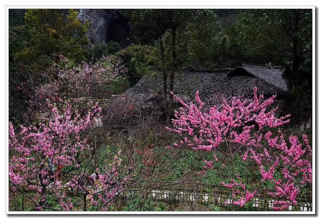 风水书一牛车,要用没十页