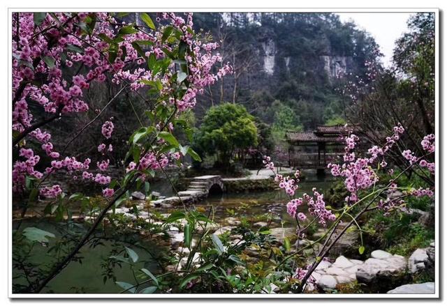 风水书一牛车,要用没十页