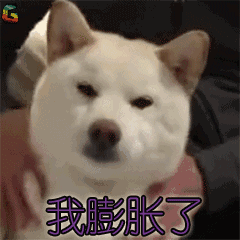 戊戌运势大公开