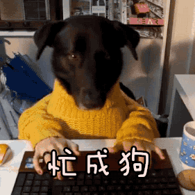 戊戌运势大公开