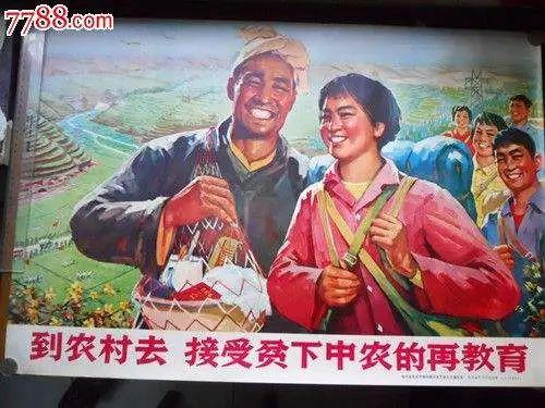 闲人段永平
