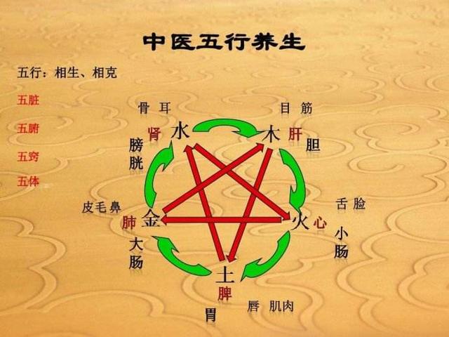 根据出生时间正确地排出人生生辰，以及批生辰时常用的干支属性