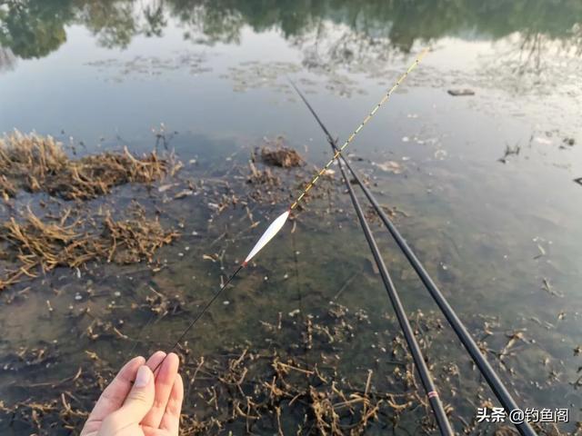 调漂测钩重是故弄玄虚？别被带偏了，告诉你为什么要测钩重