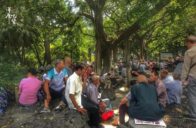“我在鱼峰山公园算过命，算出了我身家过亿”| 亲探柳州@￥江湖