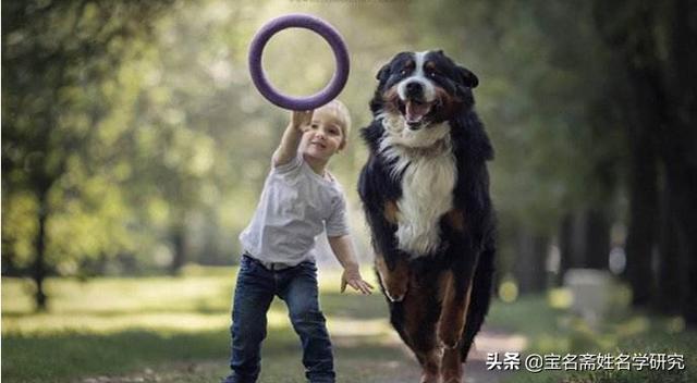 2019年出生的宝宝是不是全是土命？要如何取名字？