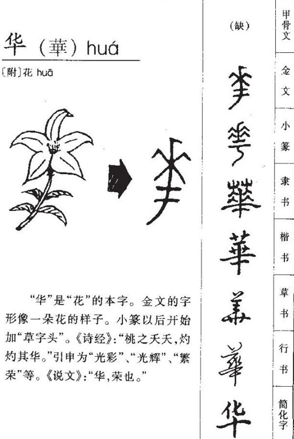 刘德华能大红大紫，姓名中暗藏玄机