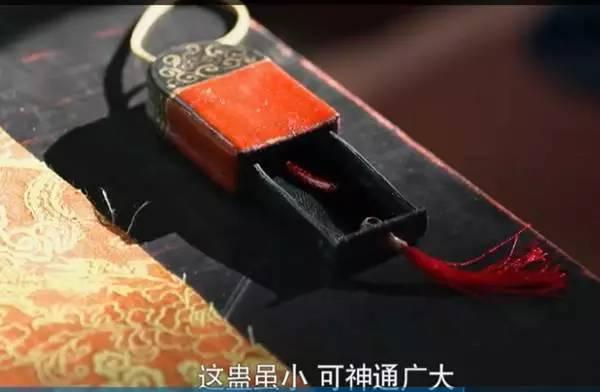 吸干人肉、活人成俑……传了两千多年的“蛊术”，真的存在吗？
