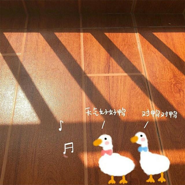 30个置顶的生辰短句/换一种心情 换一种态度 换一种故事