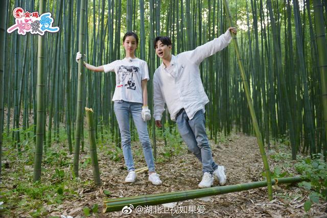 红娘节目《如果爱》开播！刘宪华陈都灵组CP，修成正果看来有机会