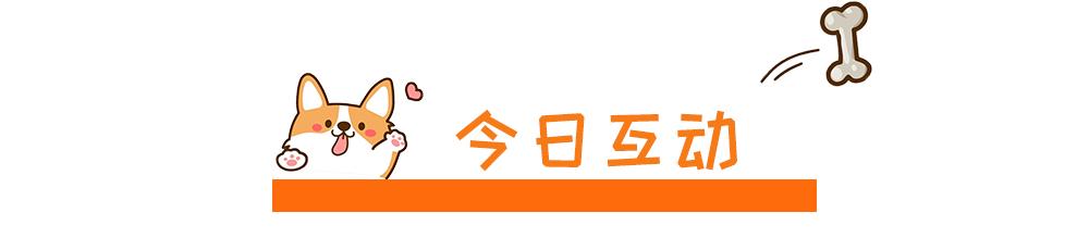 狗狗居然也会溺水！注意，不是所有狗狗天生就会游泳