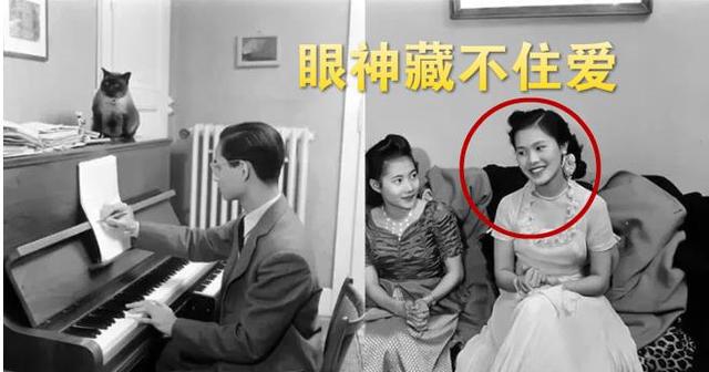 订婚，泰王普密蓬亲自为未婚妻弹琴，被绿后命其刮宫他心却滴了血