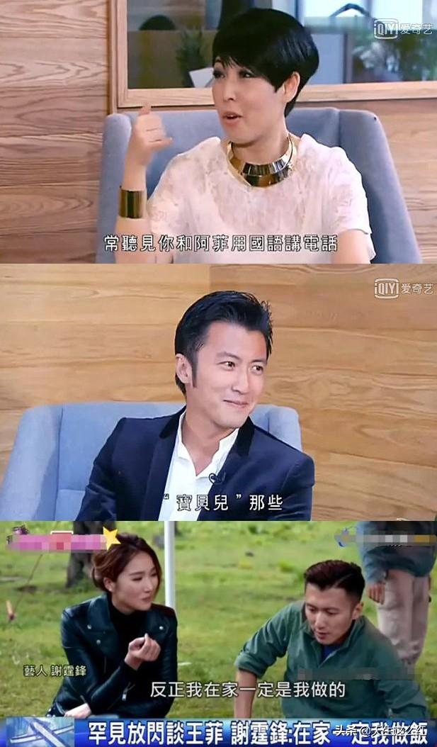 起底锋菲芝世纪纠葛：为何张柏芝谢霆锋彼此相爱，却注定无缘？