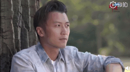 起底锋菲芝世纪纠葛：为何张柏芝谢霆锋彼此相爱，却注定无缘？