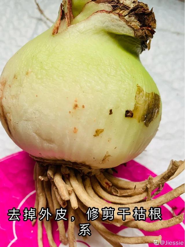 7种花有个小机关，找对位置打开它，新芽爆满盆
