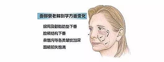 法令纹、双下巴、脸垮……想推荐郑爽和唐嫣用这件神器