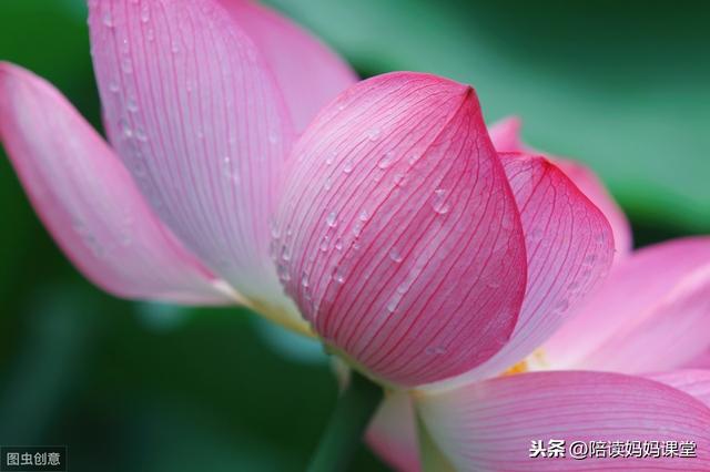 哪位老师整理的期末复习资料？太管用了
