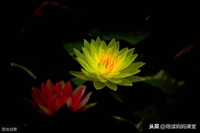 哪位老师整理的期末复习资料？太管用了