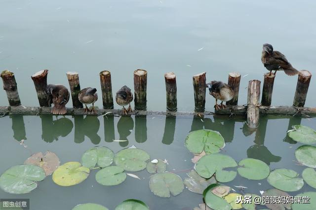 哪位老师整理的期末复习资料？太管用了