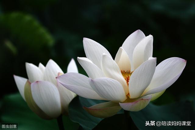 哪位老师整理的期末复习资料？太管用了