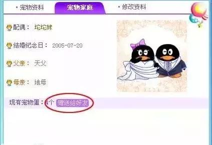 QQ再爱我一次