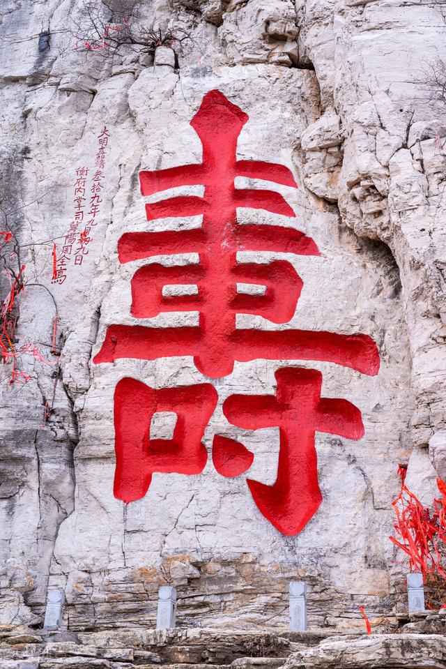 懒人养生生辰：童心、蚁食、龟欲、猴行