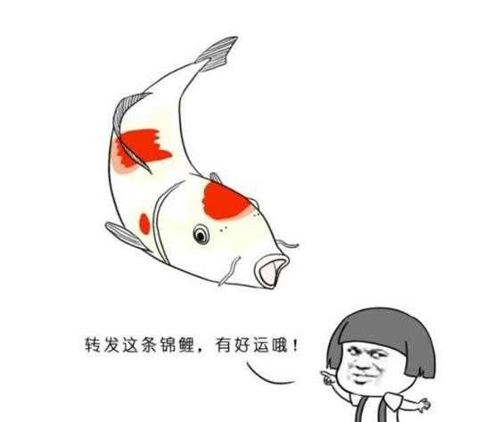 杨超越送出88万红包！这中奖率你敢信？