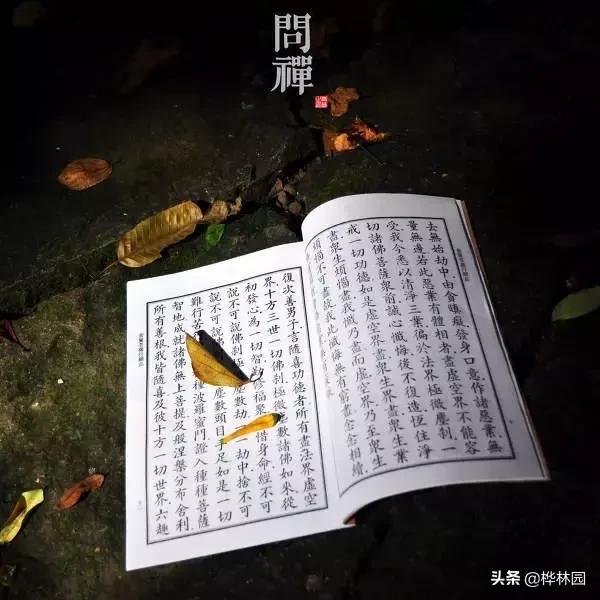 命硬、命苦怎么办？佛教告诉你改命的方法