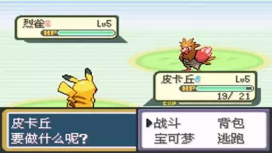 皮卡丘为啥风靡全球？生辰这样看！