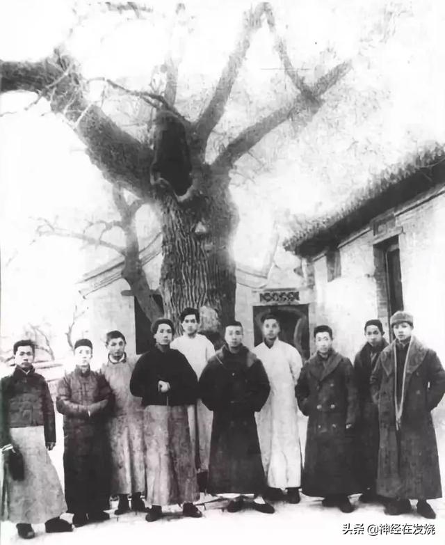 追忆领袖风采向毛主席他老人家鞠躬祭拜