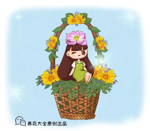 365天对应365种花，快看自己的生日，你属于哪种？