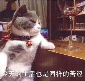 锤爆许志安的港媒，嘴到底有多毒？