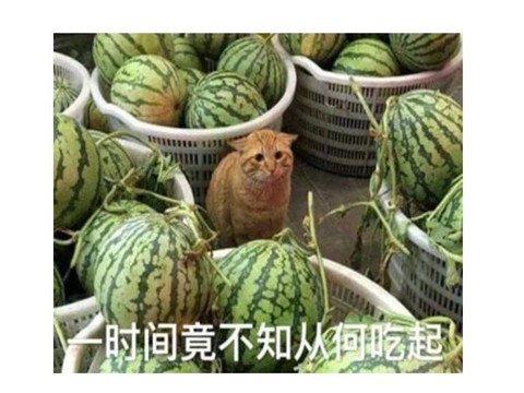 一周神评论：艾尔登法环口碑反转，玩家：老头环天下第一