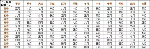 熊骨之人有福气，狮骨之人能自强——测测你的骨相命运如何？