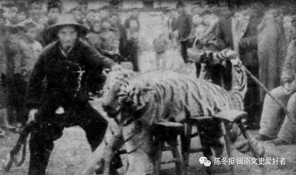 泉州清源山十三乡的匪祸、虎患和抓丁