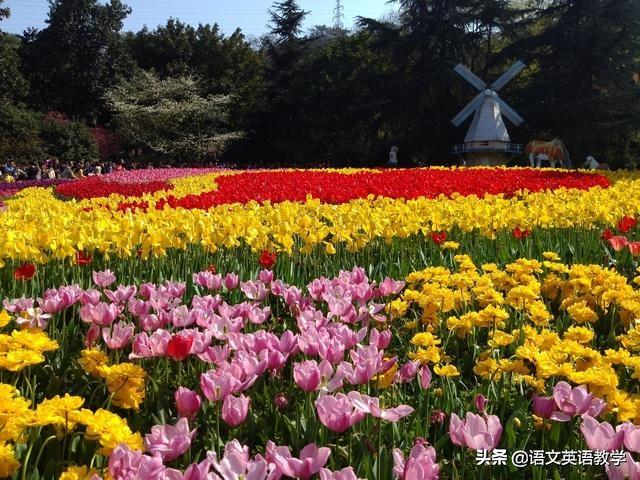 近10年高考语文试卷中的重点成语汇总，收藏学习