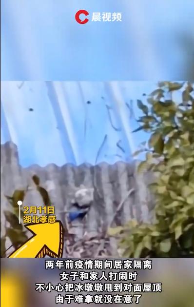 混得最惨的冰墩墩！女子两年前将冰墩墩甩到屋顶，如今“一墩难求”忙捡回家“洗白白”