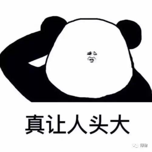 “吃蝙蝠长寿”，居然是他造的谣