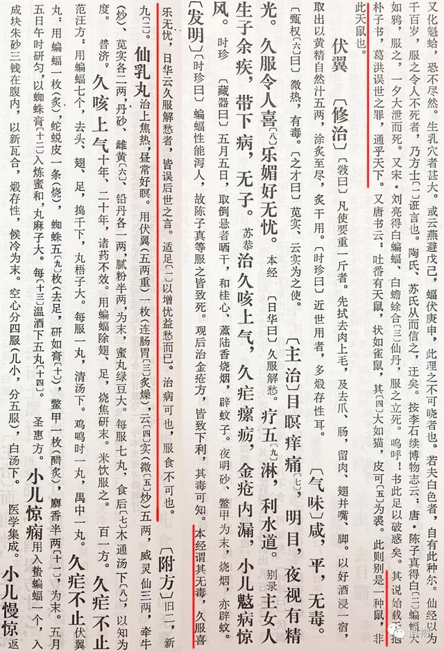 “吃蝙蝠长寿”，居然是他造的谣