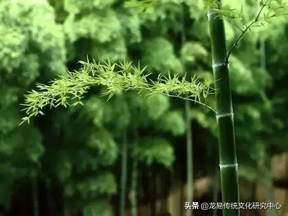 命理学中排列人生大运的具体方法及细则解读（下）