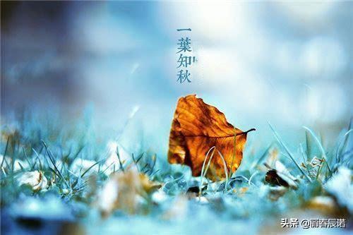 四行诗五首丨秋