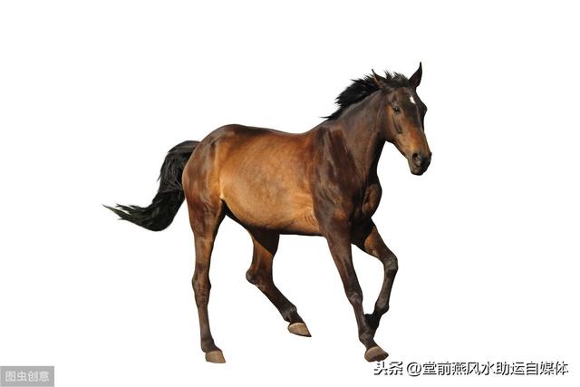 生辰月令旺衰细论（实例讲解，仅供爱好者参考）