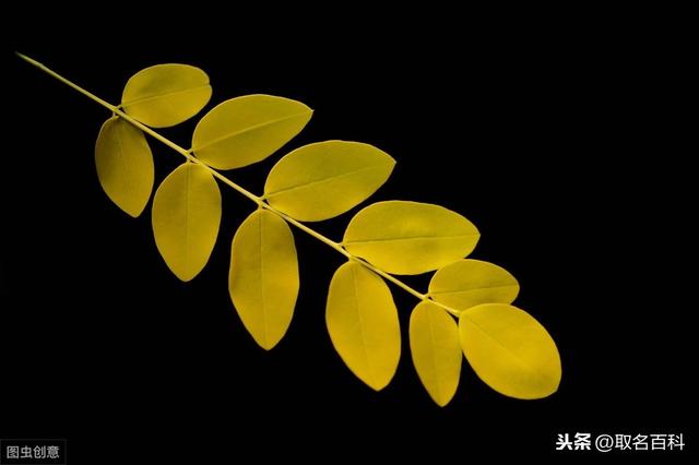 取好名字——揭密很多人都不知道的生辰生辰学问，让人生马到功成