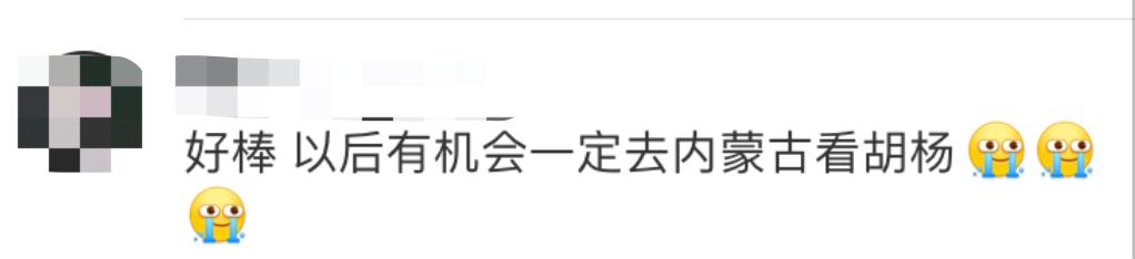 这封信火了！网友留言超暖心