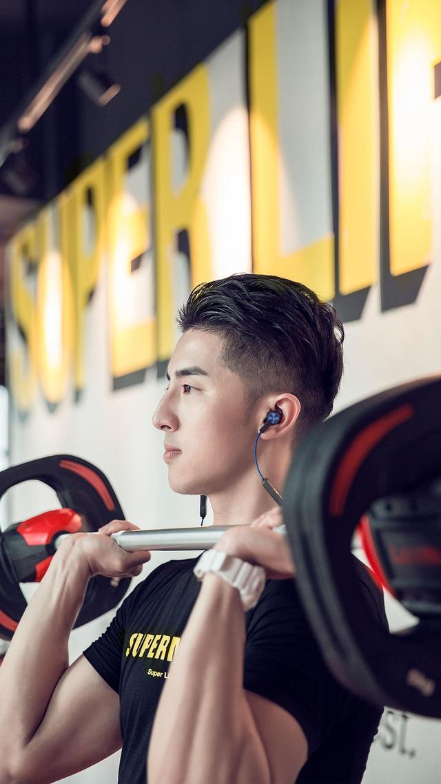 生辰论精神疾病的相关解说