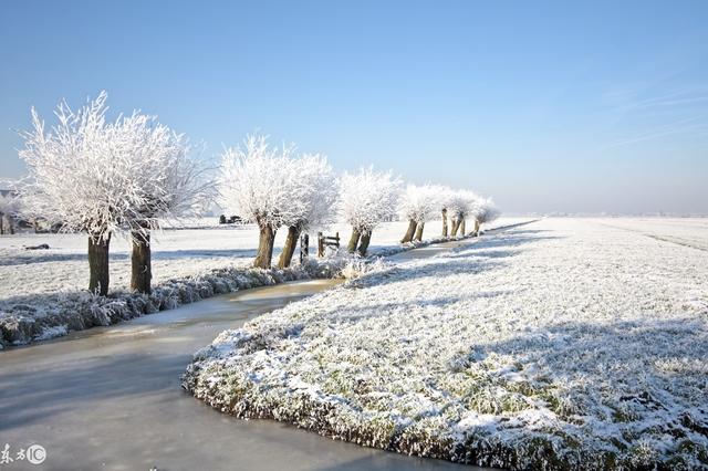 生辰命理讲解官杀,与财运
