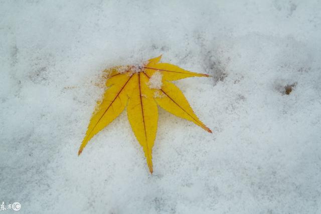 生辰命理讲解官杀,与财运