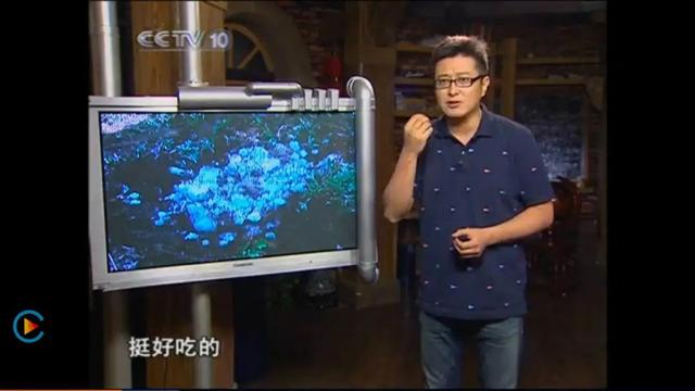 央视“闹鬼”节目停播：《走近科学》往事