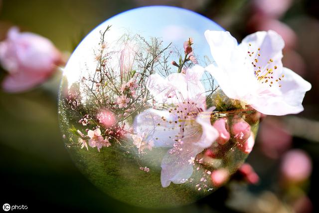 命带桃花，花不花？自己怎么查？