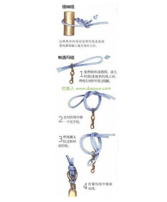鱼钩、生辰环、主线绑法大全图解