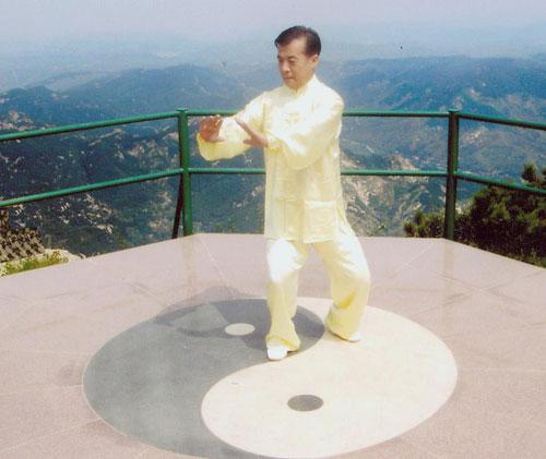 杨式太极拳手型和步型要求